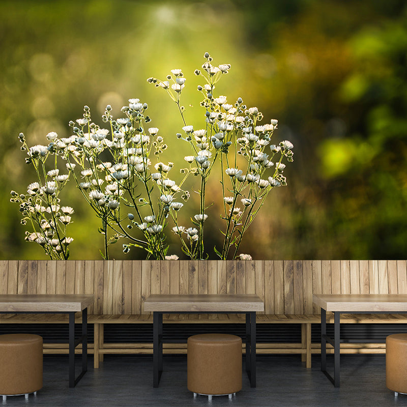 Beautiful Flowers Murals Wallpaper Flower Stain Resistant Wall Decor for Girl Bedroom