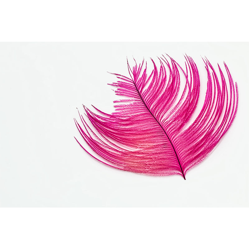 Contemporary Mural Wallpaper with Feather Pattern Wall Covering for Living Room