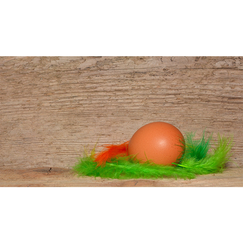 Photography Horizontal Light Feather Mural Wallpaper Wall Covering for Dining Room