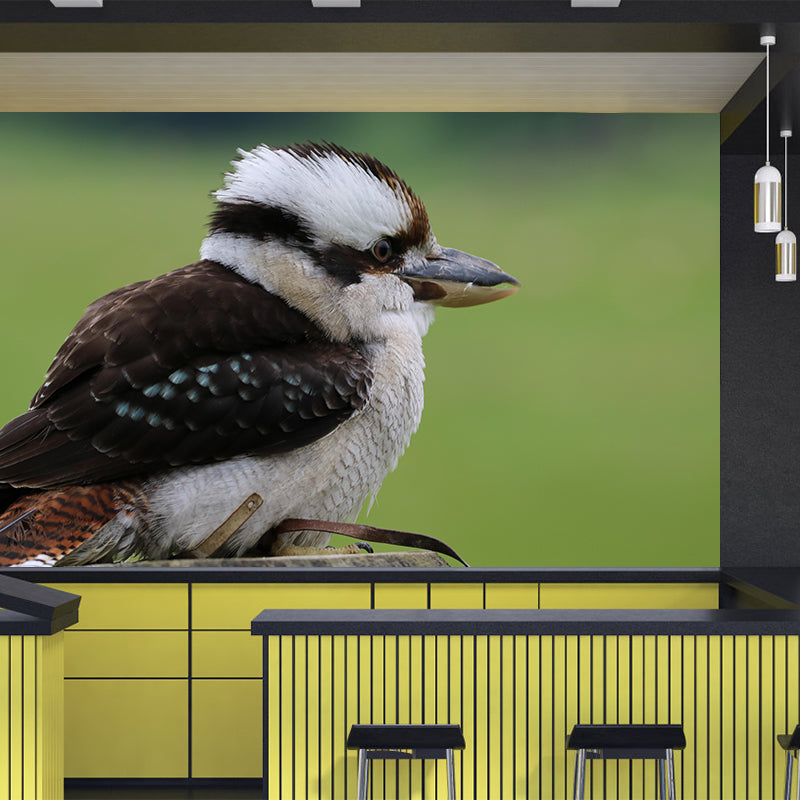 Kingfisher Contemporary Mural Wallpaper Mildew Resistant Wall Decor for Accent Wall