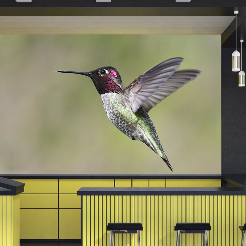 Modern Hummingbird Wall Mural Decal Eco-friendly Stain Resistant for Sitting Room