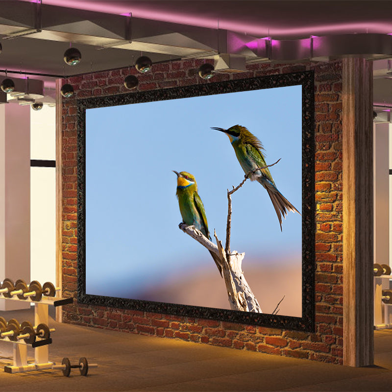 Modern Hummingbird Wall Mural Decal Eco-friendly Stain Resistant for Sitting Room