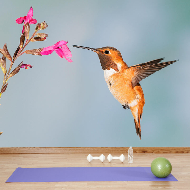 Modern Hummingbird Wall Mural Decal Eco-friendly Stain Resistant for Sitting Room