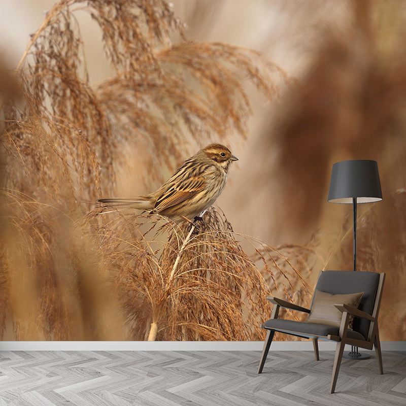Sparrow Contemporary Mural Wallpaper Mildew Resistant Wall Decor for Accent Wall