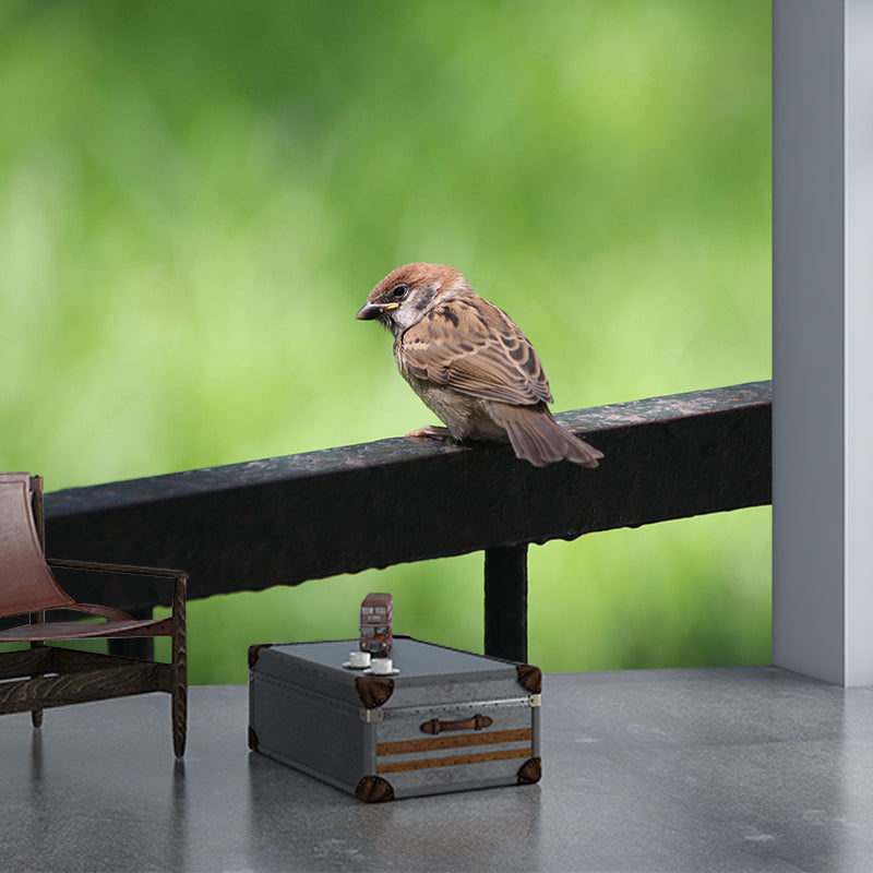 Sparrow Contemporary Mural Wallpaper Mildew Resistant Wall Decor for Accent Wall