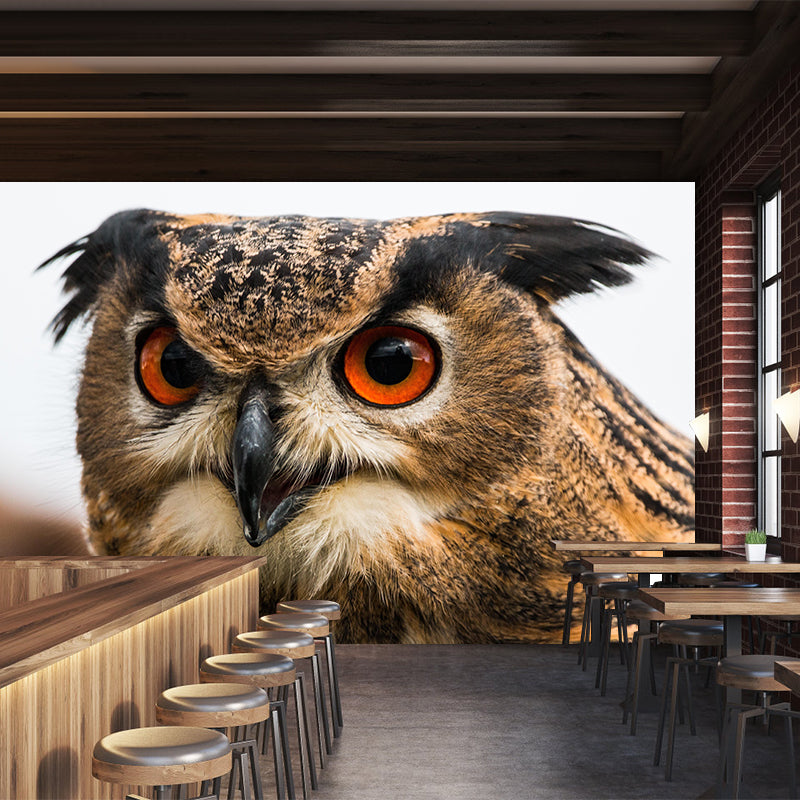 Modern Owl Wall Mural Decal Eco-friendly Stain Resistant for Sitting Room