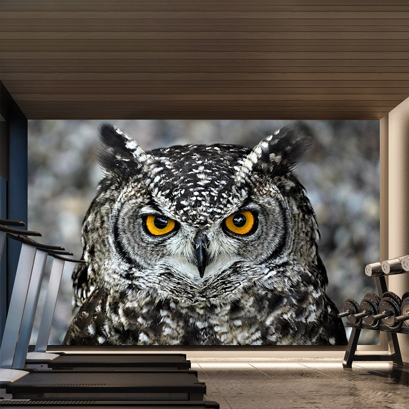Modern Owl Wall Mural Decal Eco-friendly Stain Resistant for Sitting Room