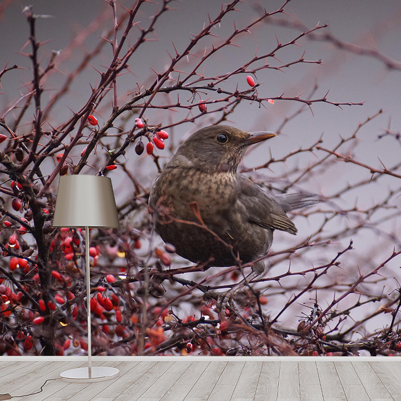 Bird Contemporary Mural Wallpaper Mildew Resistant Wall Decor for Accent Wall