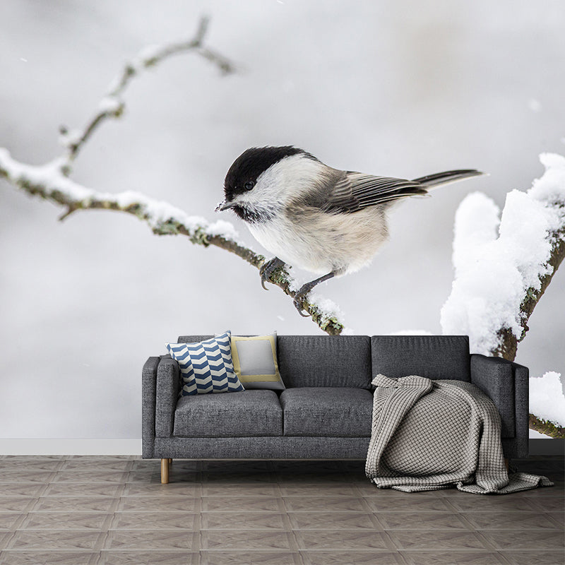 Bird Contemporary Mural Wallpaper Mildew Resistant Wall Decor for Accent Wall
