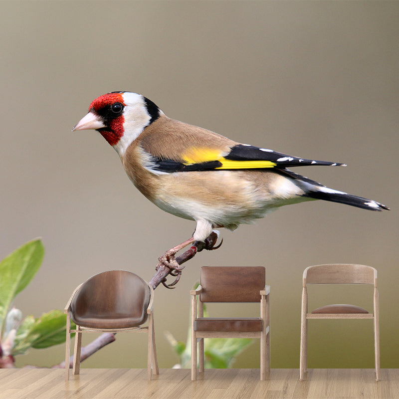 Bird Contemporary Mural Wallpaper Mildew Resistant Wall Decor for Accent Wall