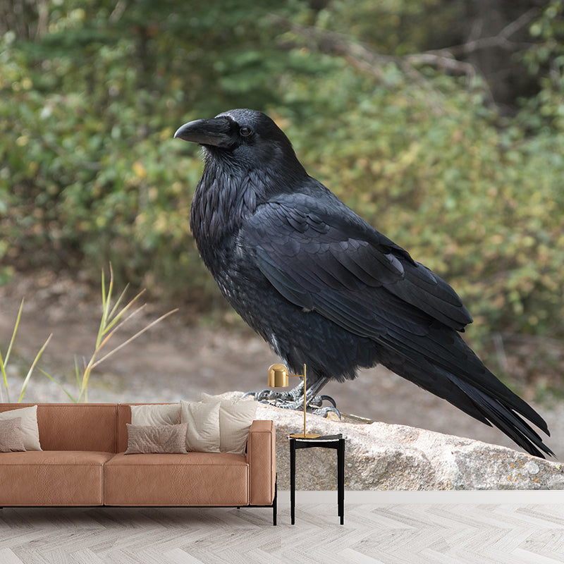 Dark Crow Simple Mural Wallpaper Mildew Resistant Wall Decor for Accent Wall