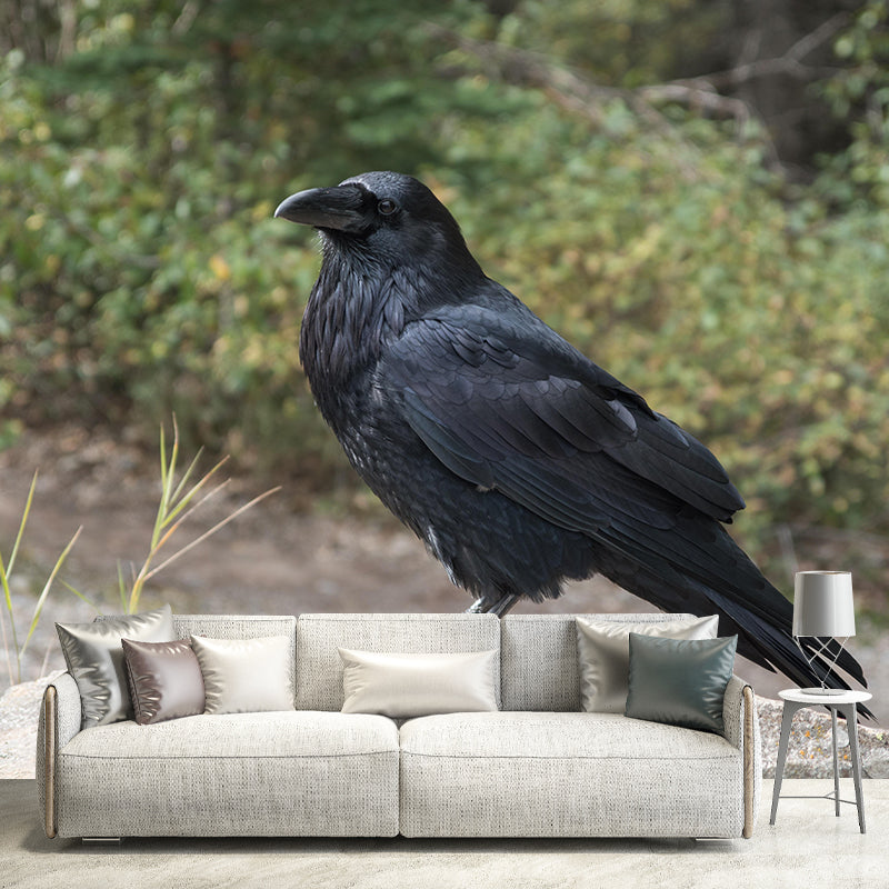 Dark Crow Simple Mural Wallpaper Mildew Resistant Wall Decor for Accent Wall