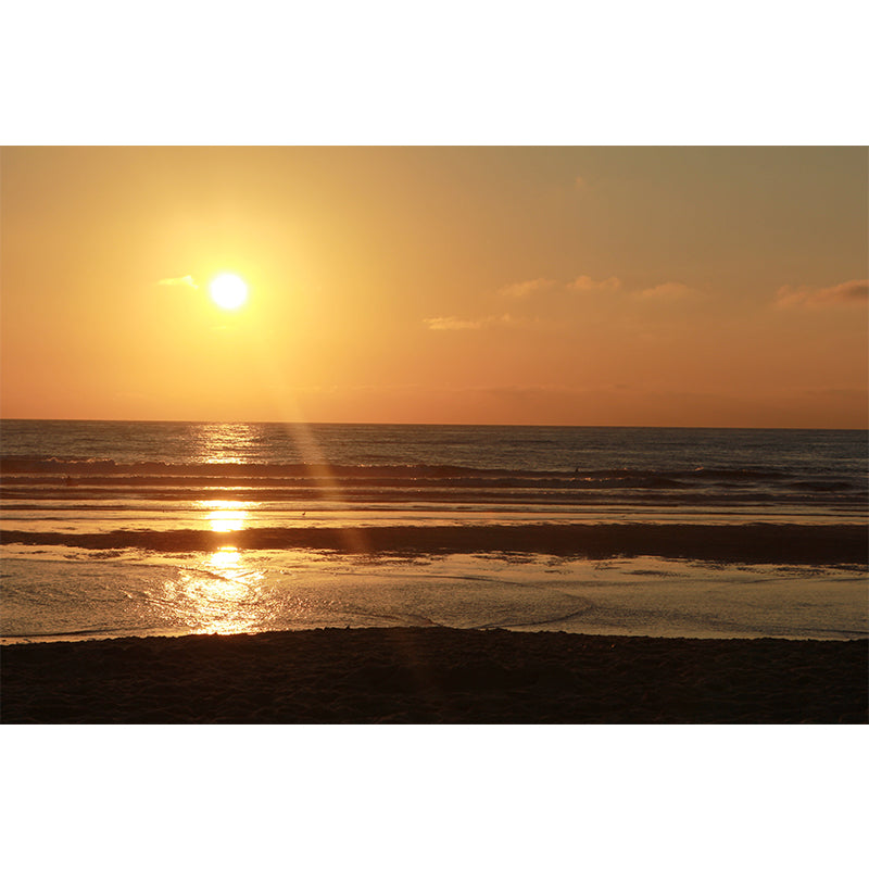 Mildew Resistant Mural Wallpaper Photography Horizontal for Home Decoration