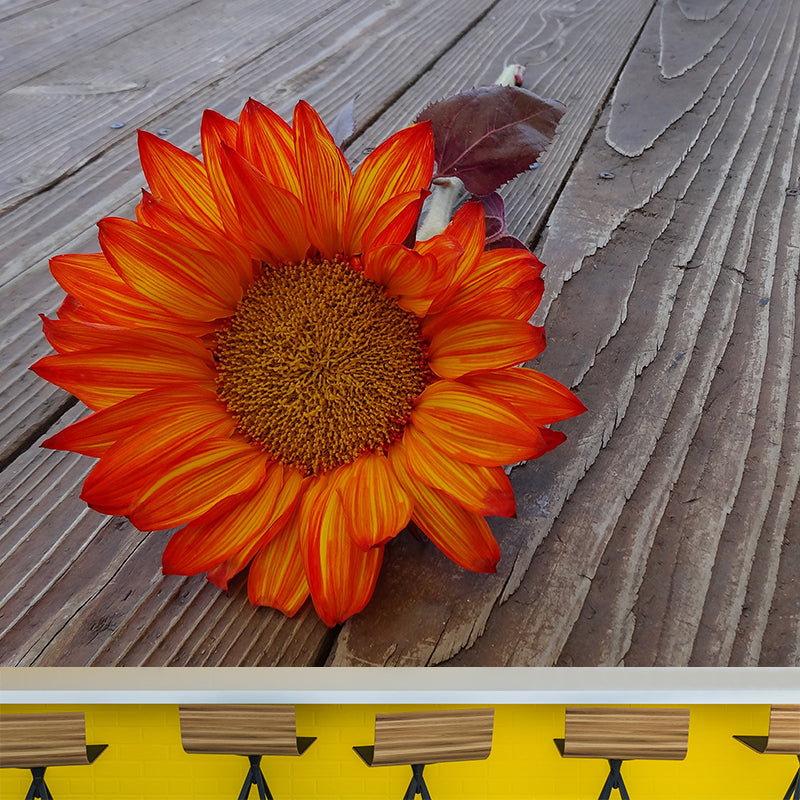 Soft Color Flower Wall Mural Decal Moisture Eco-friendly Wallpaper for Sitting Room