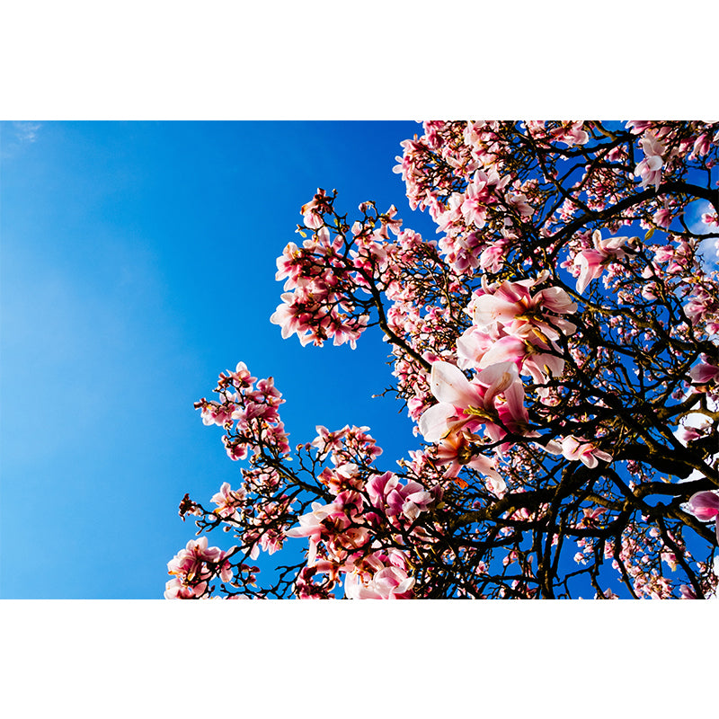 Different Flower Wall Mural Mildew Resistant Environment Friendly Wall Decor