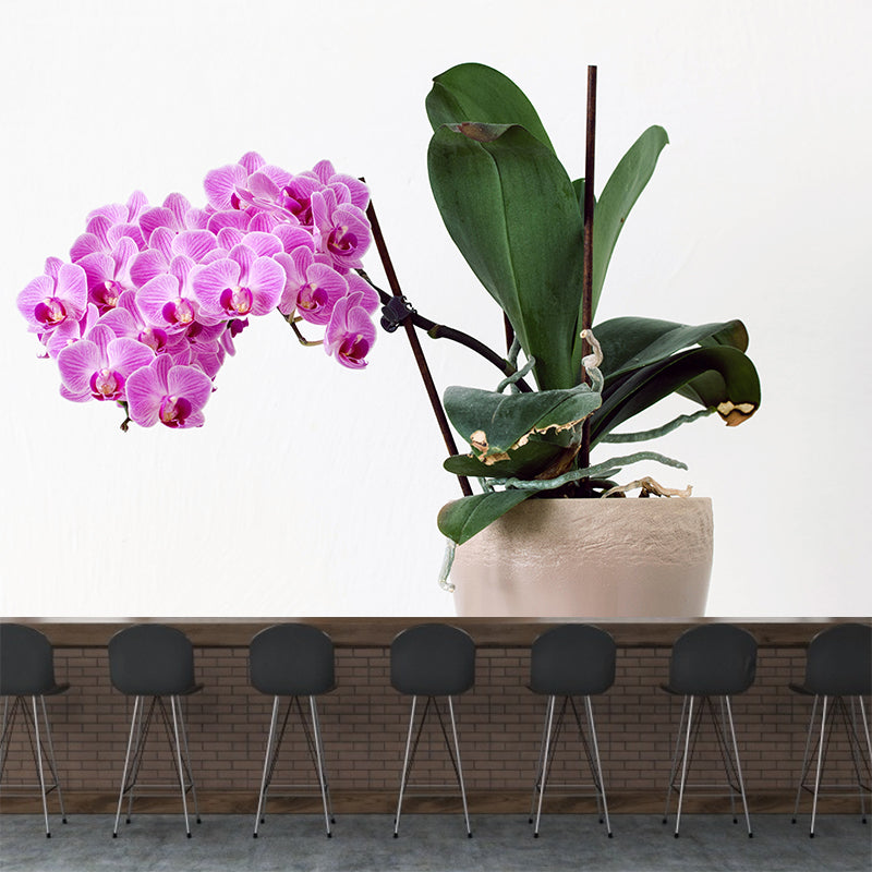 Flower Wall Mural Decal Eco-friendly Wallpaper Resistant for Sitting Room