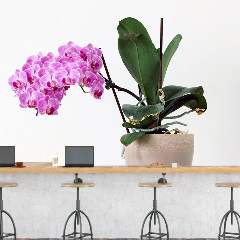 Flower Wall Mural Decal Eco-friendly Wallpaper Resistant for Sitting Room