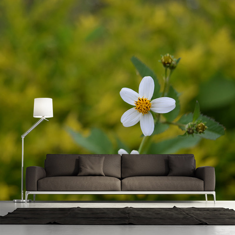 Flower Wall Mural Mildew Resistant Photography Horizontal Wall Decor for Bedroom