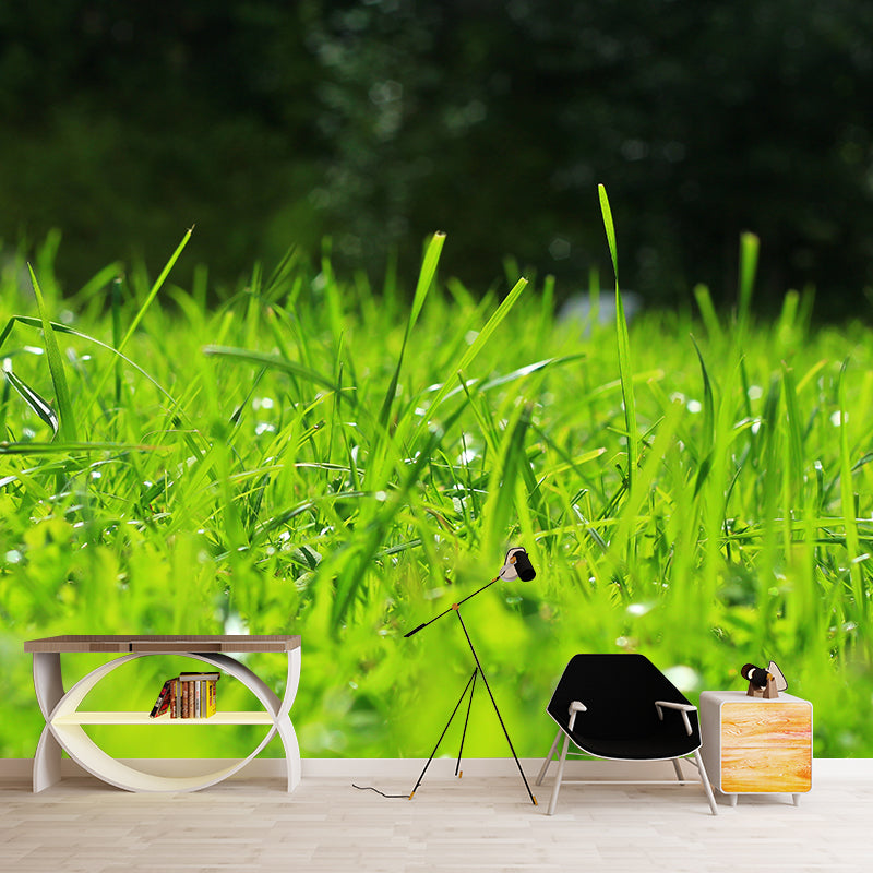 Weed Wall Mural Water Mildew Resistant Environment Friendly Wall Decor for Bedroom