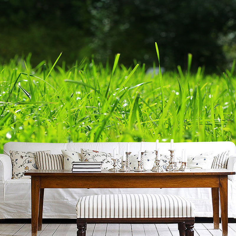 Weed Wall Mural Water Mildew Resistant Environment Friendly Wall Decor for Bedroom