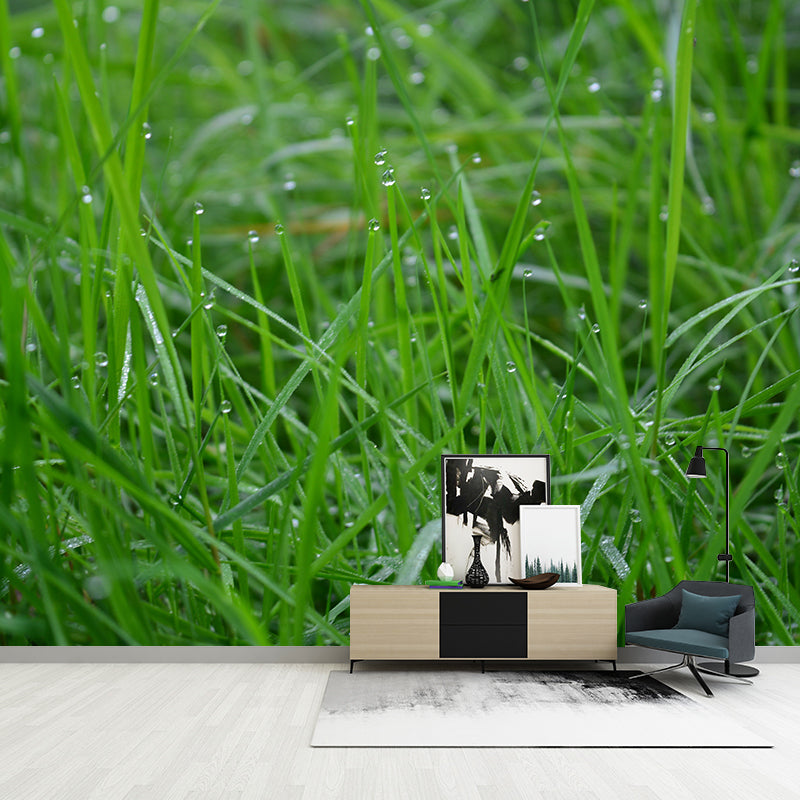 Weed Wall Mural Water Mildew Resistant Environment Friendly Wall Decor for Bedroom