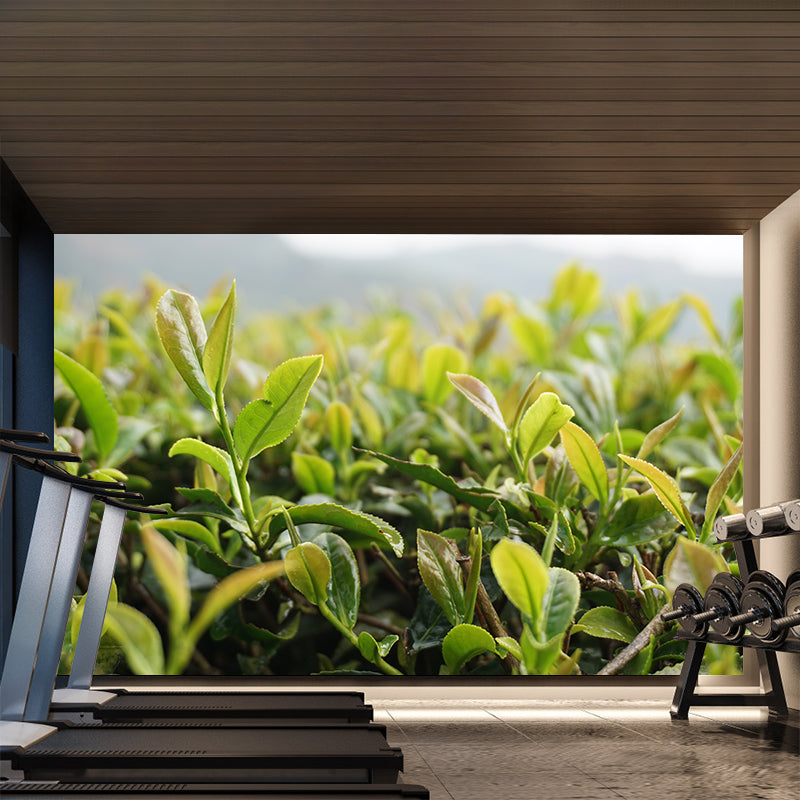 Tea Leaf Wall Mural Water Mildew Resistant Environment Friendly Wall Decor for Bedroom