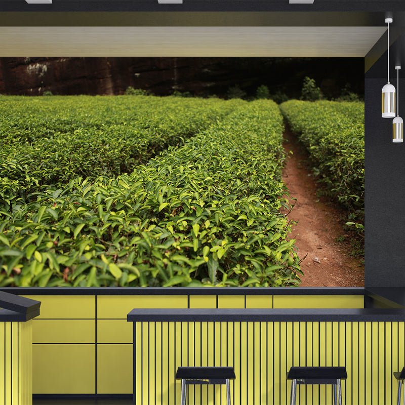 Tea Leaf Wall Mural Water Mildew Resistant Environment Friendly Wall Decor for Bedroom
