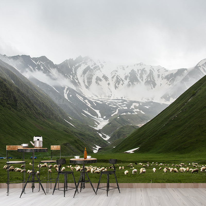 Mountain View Wall Mural Decal Contemporary Style Moisture Resistant for Sitting Room