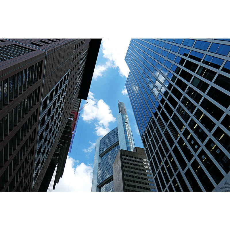 Photography Horizontal City Wall Mural Decal Moisture Resistant for Meeting Room