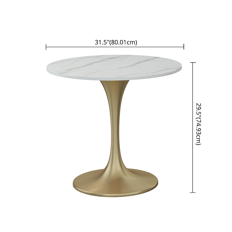 Modern Sintered Stone Dining Room Set with Round Top and Gold Base Furniture