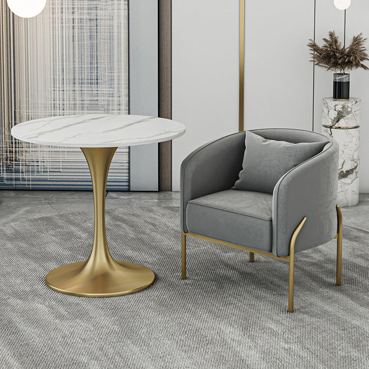 Modern Sintered Stone Dining Room Set with Round Top and Gold Base Furniture