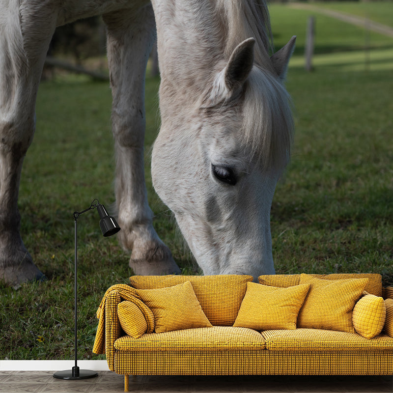 Galloping Horse Murals for Living Room Contemporary Style ,Customized Size