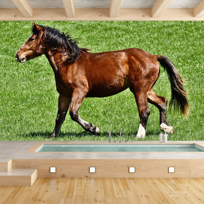 Galloping Horse Murals for Living Room Contemporary Style ,Customized Size