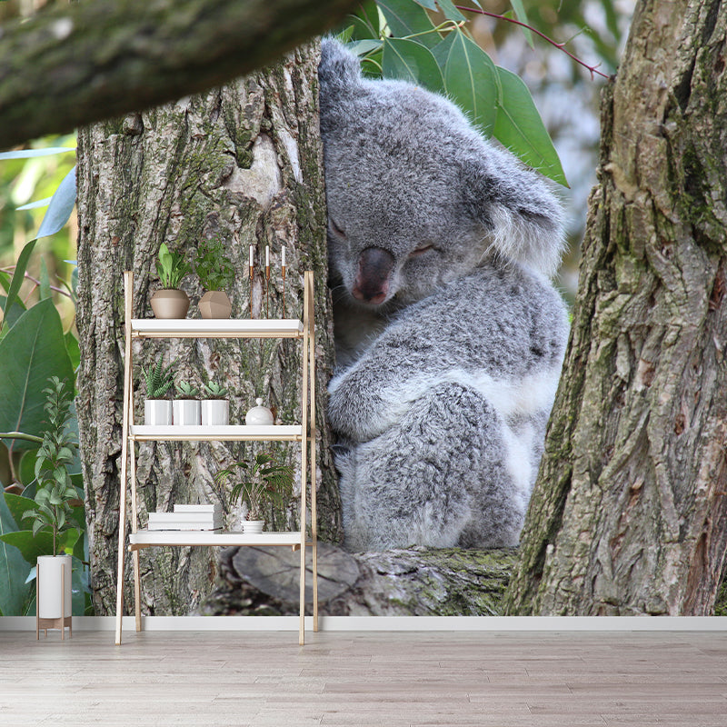 Koala Animals Mural Wallpaper Washable Living Room Wall Decor, Moisture Resistant