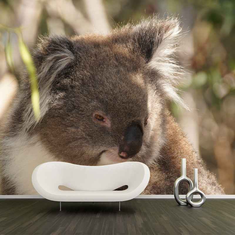 Koala Animals Mural Wallpaper Washable Living Room Wall Decor, Moisture Resistant