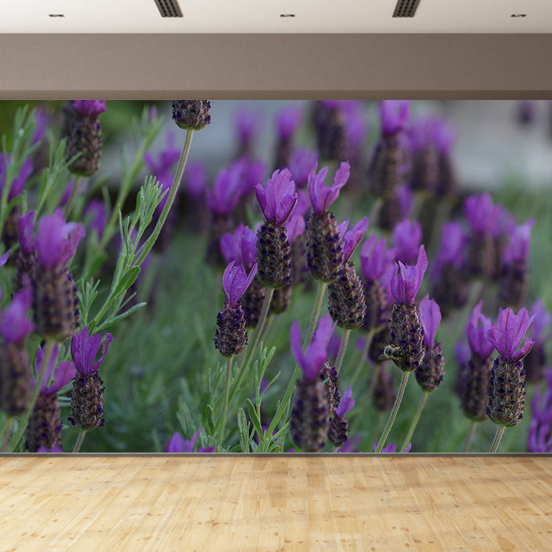 Purple Lavender Scenery Mural Wallpaper Modern Decorative for Meeting Room