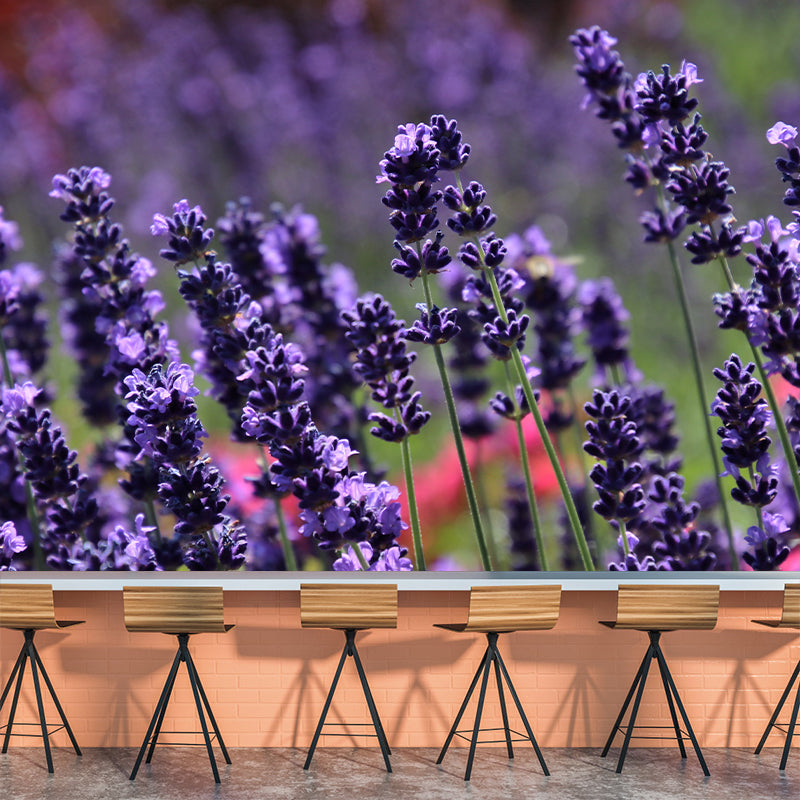 Blooming Lavender Wall Mural Decal for Living Room Bedroom, Stain Resistant