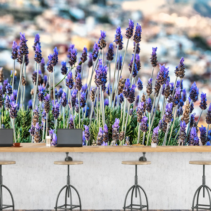 Blooming Lavender Wall Mural Decal for Living Room Bedroom, Stain Resistant