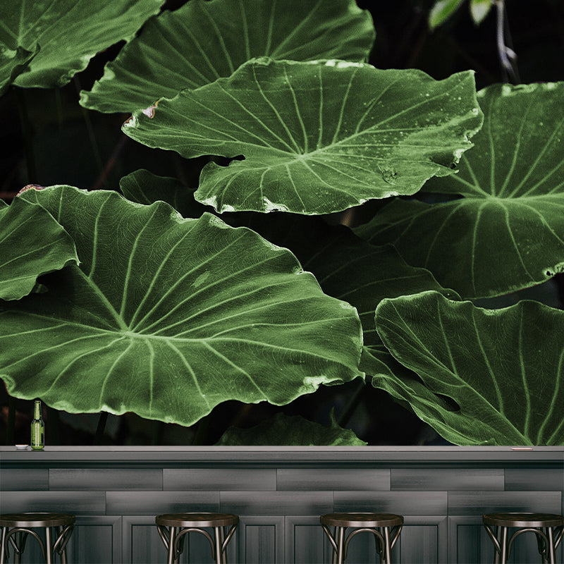 Green Lotus Leaf Mural Wallpaper Stain Resistant Wall Covering for Living Room