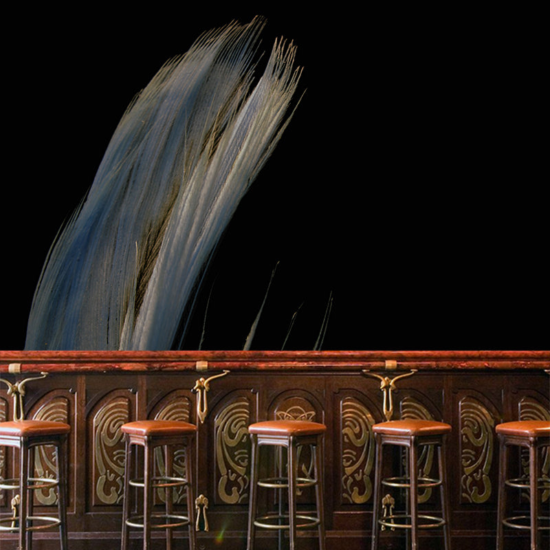 Plumage Modern Mural Wallpaper for Girl Bedroom Custom Size Wall Covering