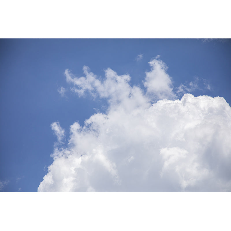 Blue Sky Mural Wallpaper for Restaurant Decor Water Resistant, Made to Measure