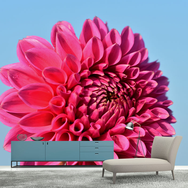 Fragrant Dahlia Mural Wallpaper for Girl Bedroom, Custom Size Available