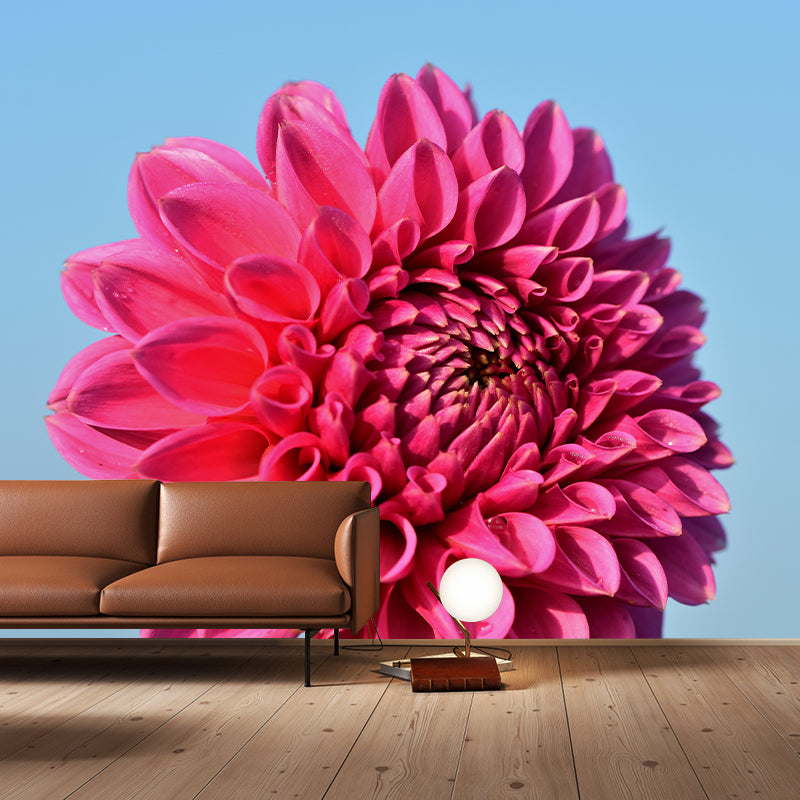 Fragrant Dahlia Mural Wallpaper for Girl Bedroom, Custom Size Available