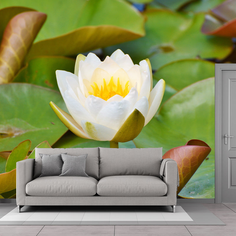 Lotus Flower Mural for Accent Wall Water Resistant Wall Covering in Light Color