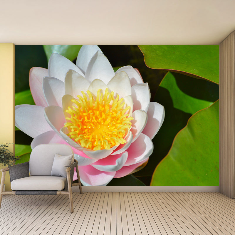 Lotus Flower Mural for Accent Wall Water Resistant Wall Covering in Light Color