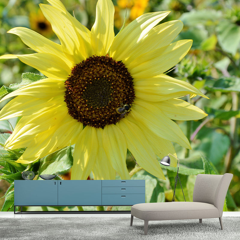 Sunflower Wall Covering for Living Room Flower Mural, Moisture-Resistant