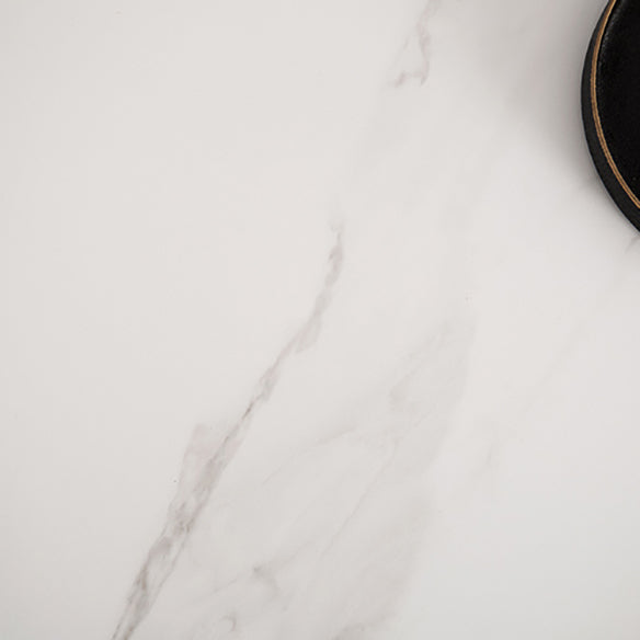 Minimalist Sintered Stone Dining Set with Rectangle Table and Wooden Base Table Set for Restaurant