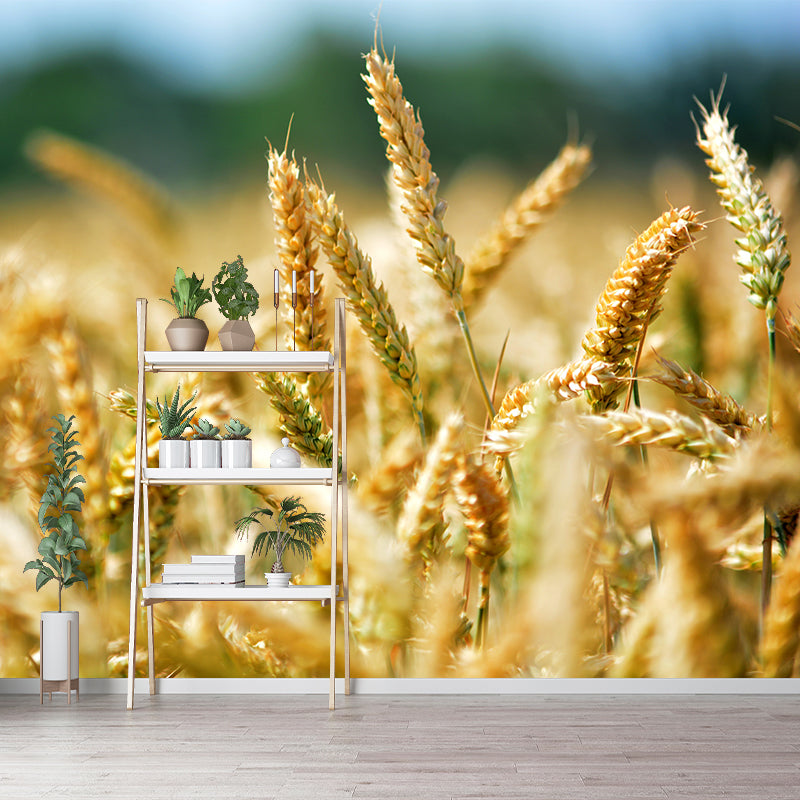 Soft Color Wheat Field Mural Wallpaper Decal Customized Modern Wall Covering for Bedroom