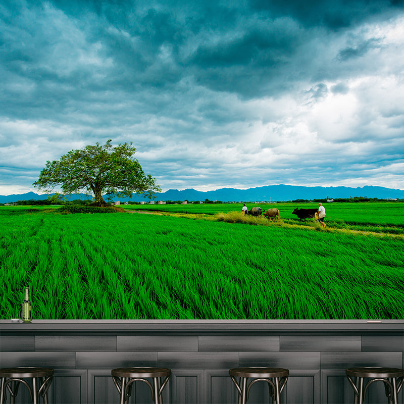 Contemporary Wheat Field Mural Wall Decor Mildew Resistant Wall Mural Wall Art