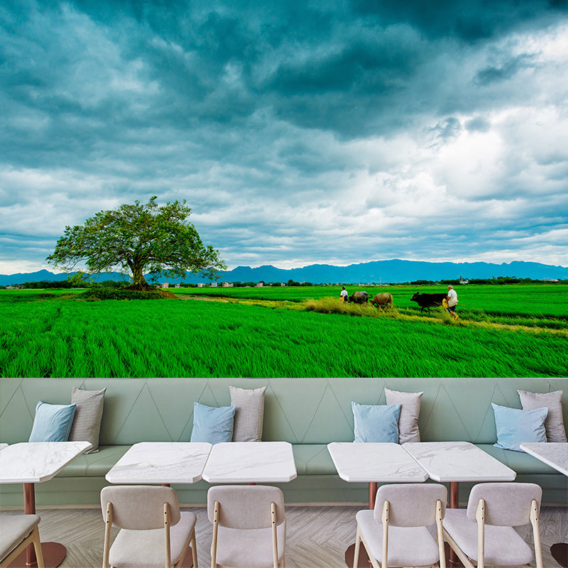 Contemporary Wheat Field Mural Wall Decor Mildew Resistant Wall Mural Wall Art